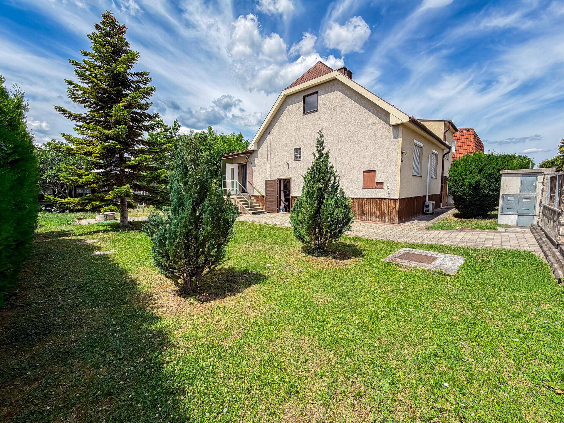 Rückansicht des Hauses mit gepflegtem Rasen und hohen Nadelbäumen im Gartenbereich.