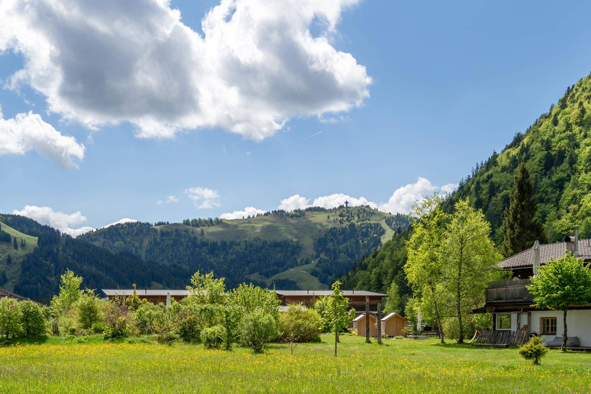 JAKOBSHORN BLICK