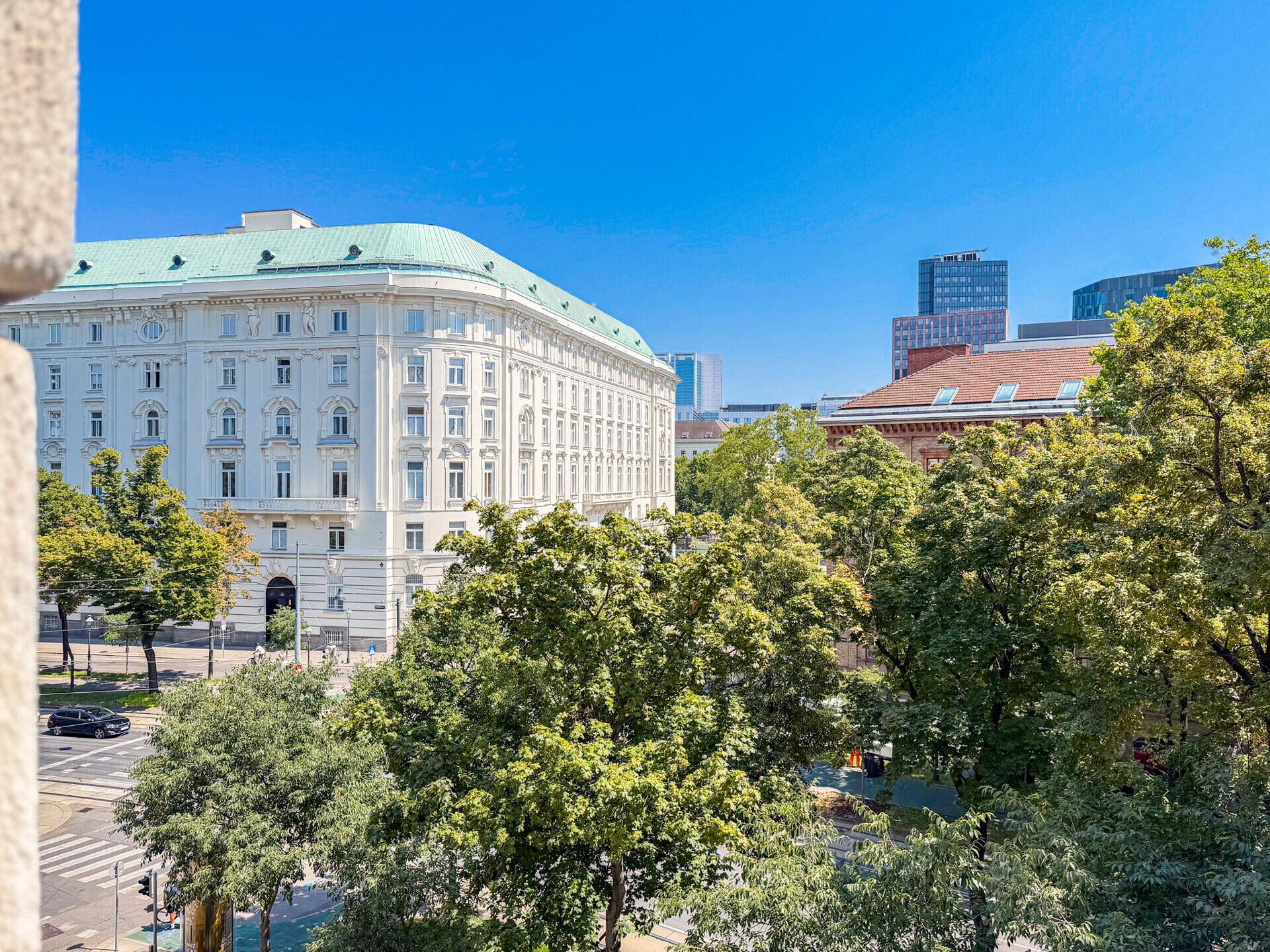 Weitläufiger Blick auf die Stadt mit grünen Bäumen und historischen Gebäuden unter blauem Himmel.