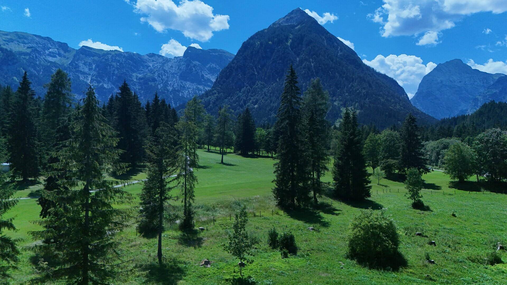 Malerische Berglandschaft mit dichten Wäldern und weiten grünen Wiesen unter blauem Himmel.