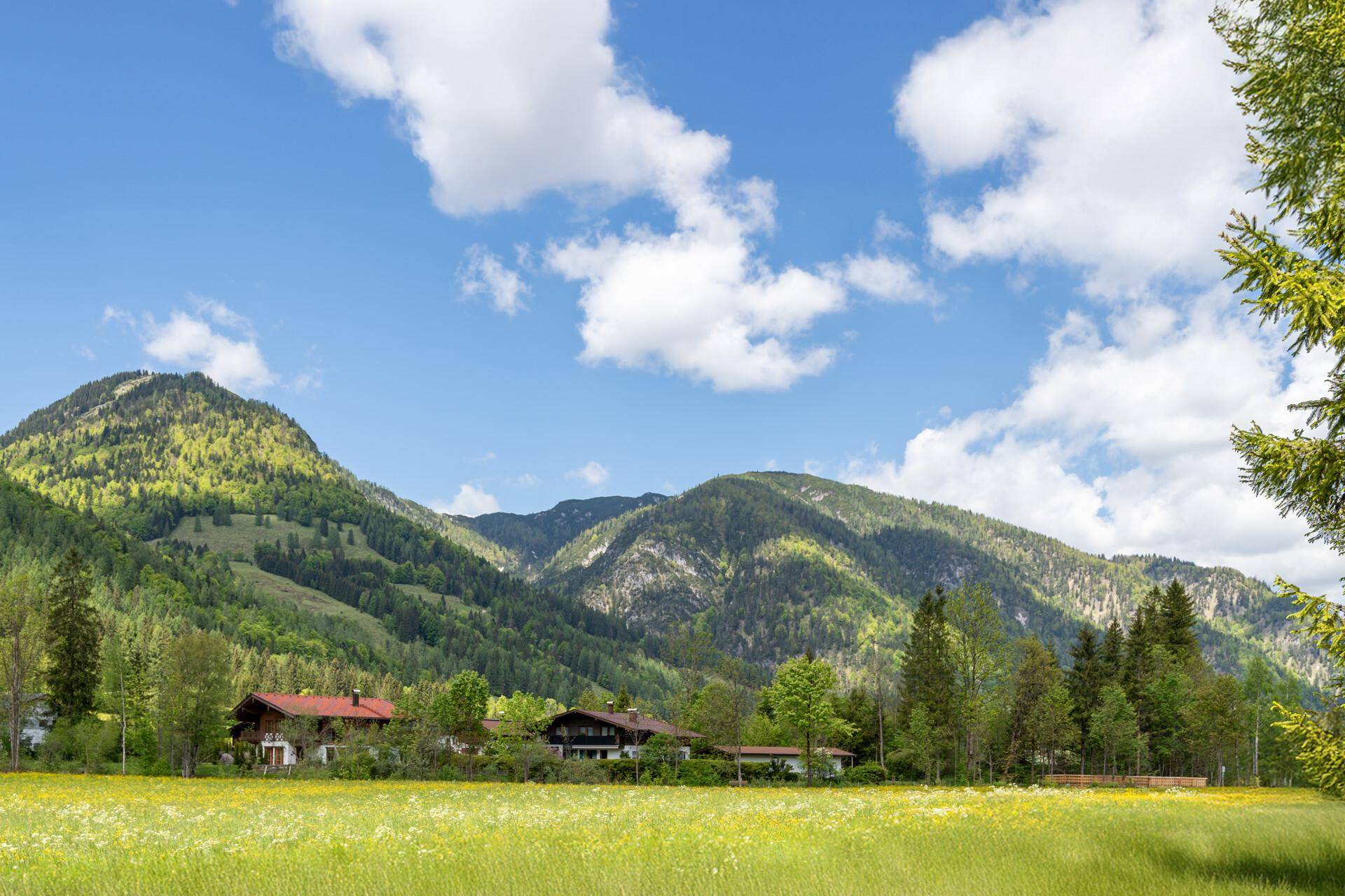 PANORAMABLICK