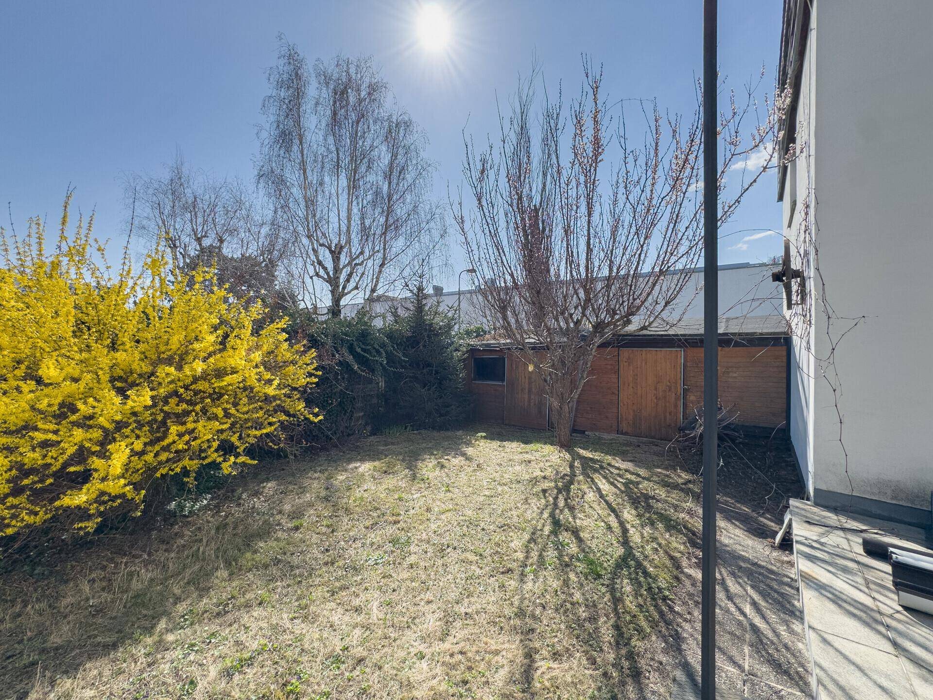Sonniger Gartenbereich mit Rasenfläche, Sträuchern, Bäumen und einem Holzschuppen im Hintergrund.