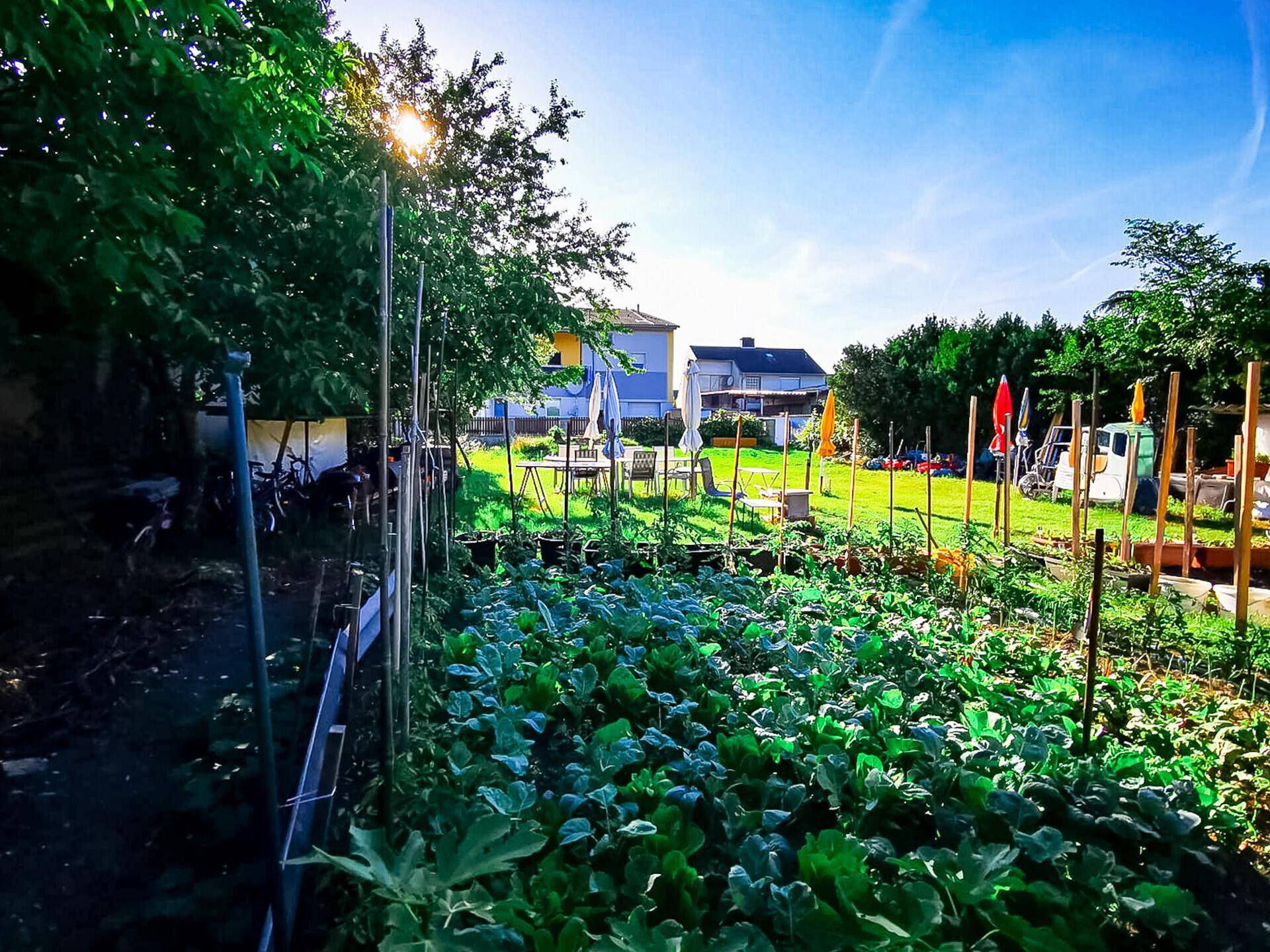 Sonniger Garten mit Gemüsegarten, Rasenfläche und gemütlichem Essbereich im Freien.