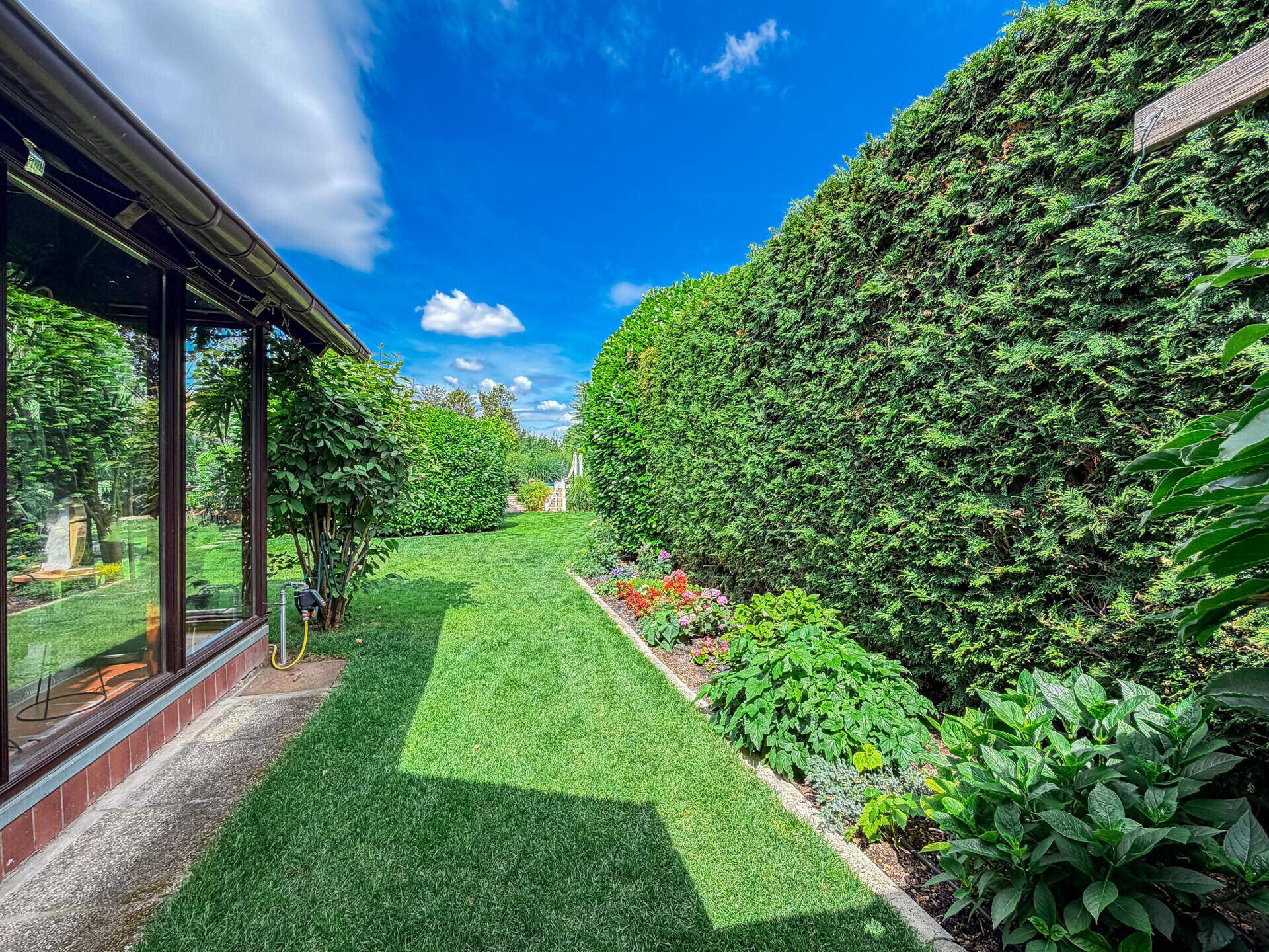 Schmaler Rasenstreifen entlang des Hauses mit hoher Hecke und Blumenbeet.