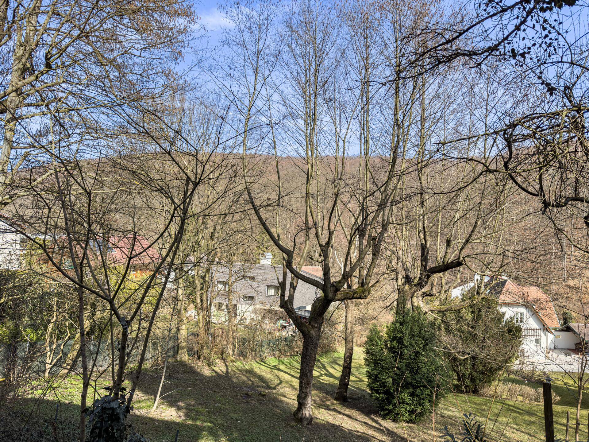 Weitläufiger Blick über die grüne Landschaft und benachbarte Häuser.
