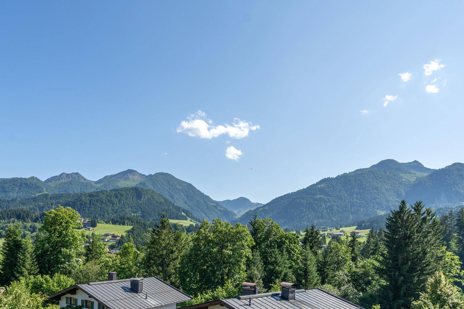 PANORAMABLICK