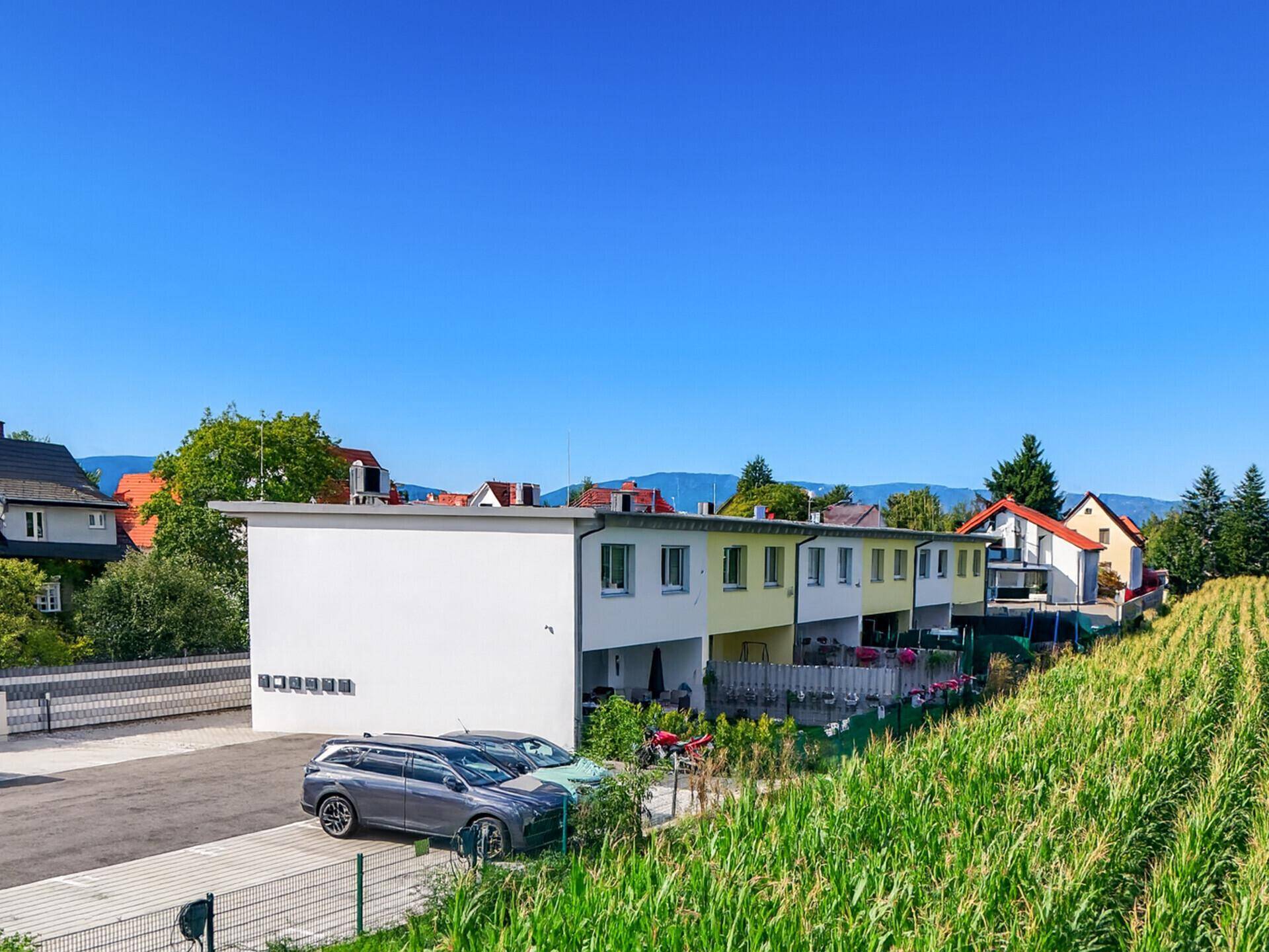Reihenhäuser mit Parkplätzen und angrenzendem Maisfeld unter strahlend blauem Himmel.