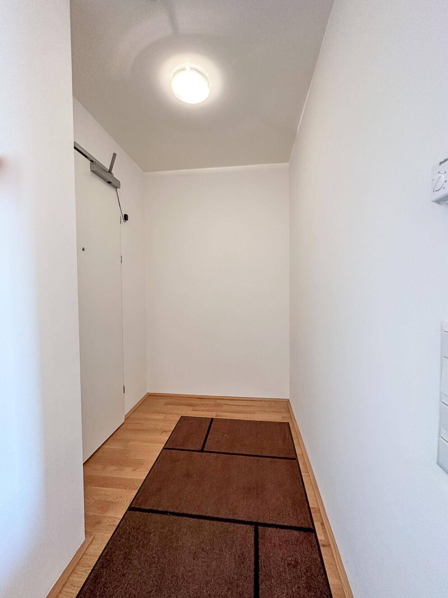 Heller Eingangsbereich mit Holzboden und einer Fußmatte, der in die Wohnung führt.