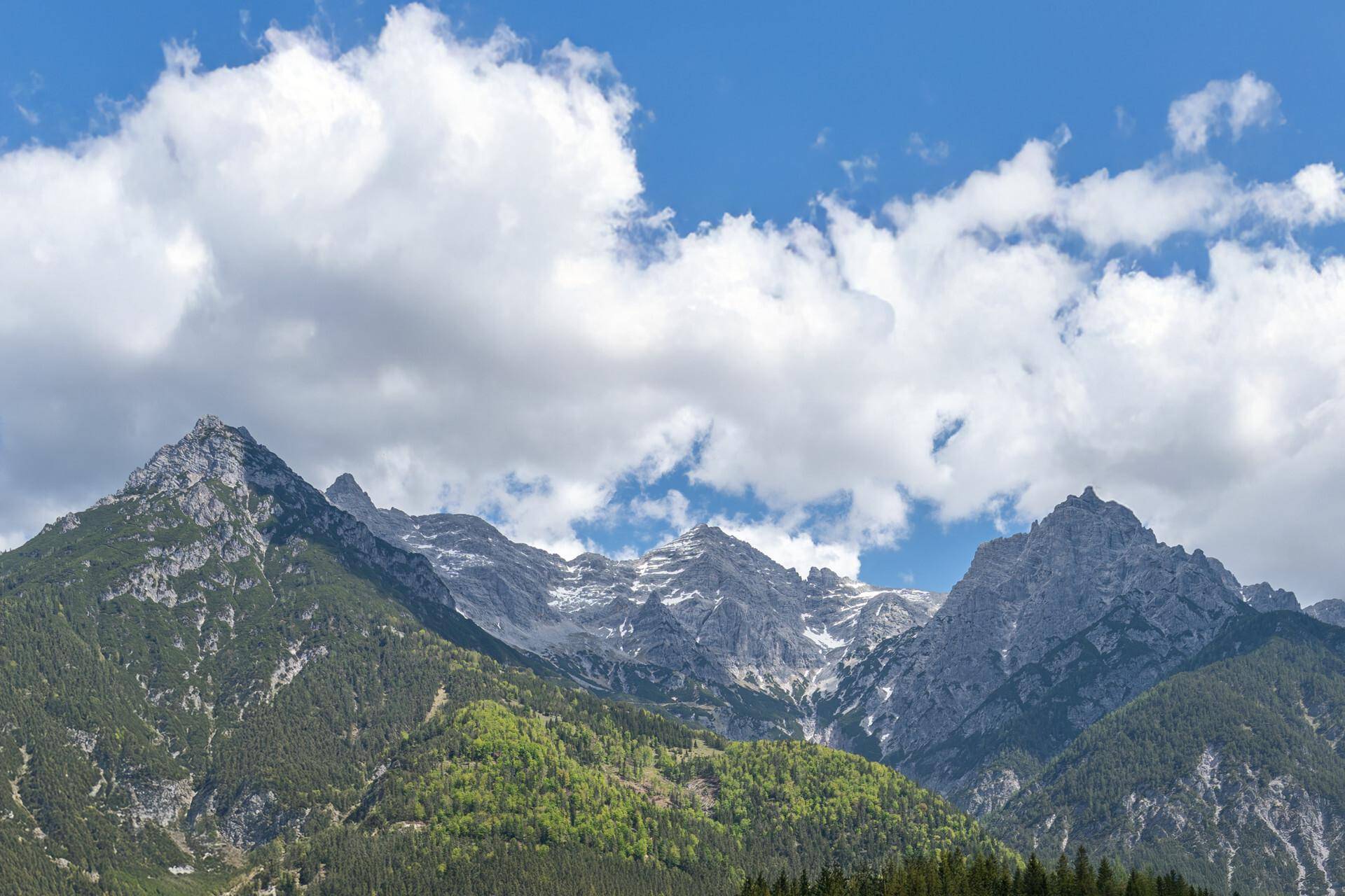 STEINBERGBLICK