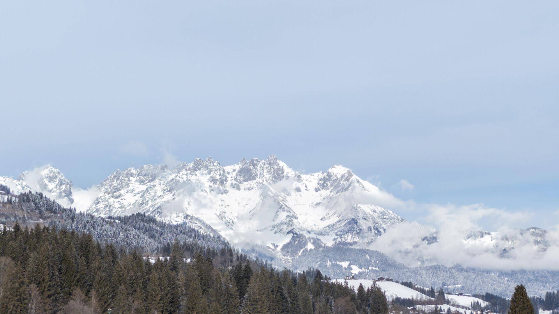 Atemberaubender Blick auf schneebedeckte Berggipfel und dichte Nadelwälder unter blauem Himmel.