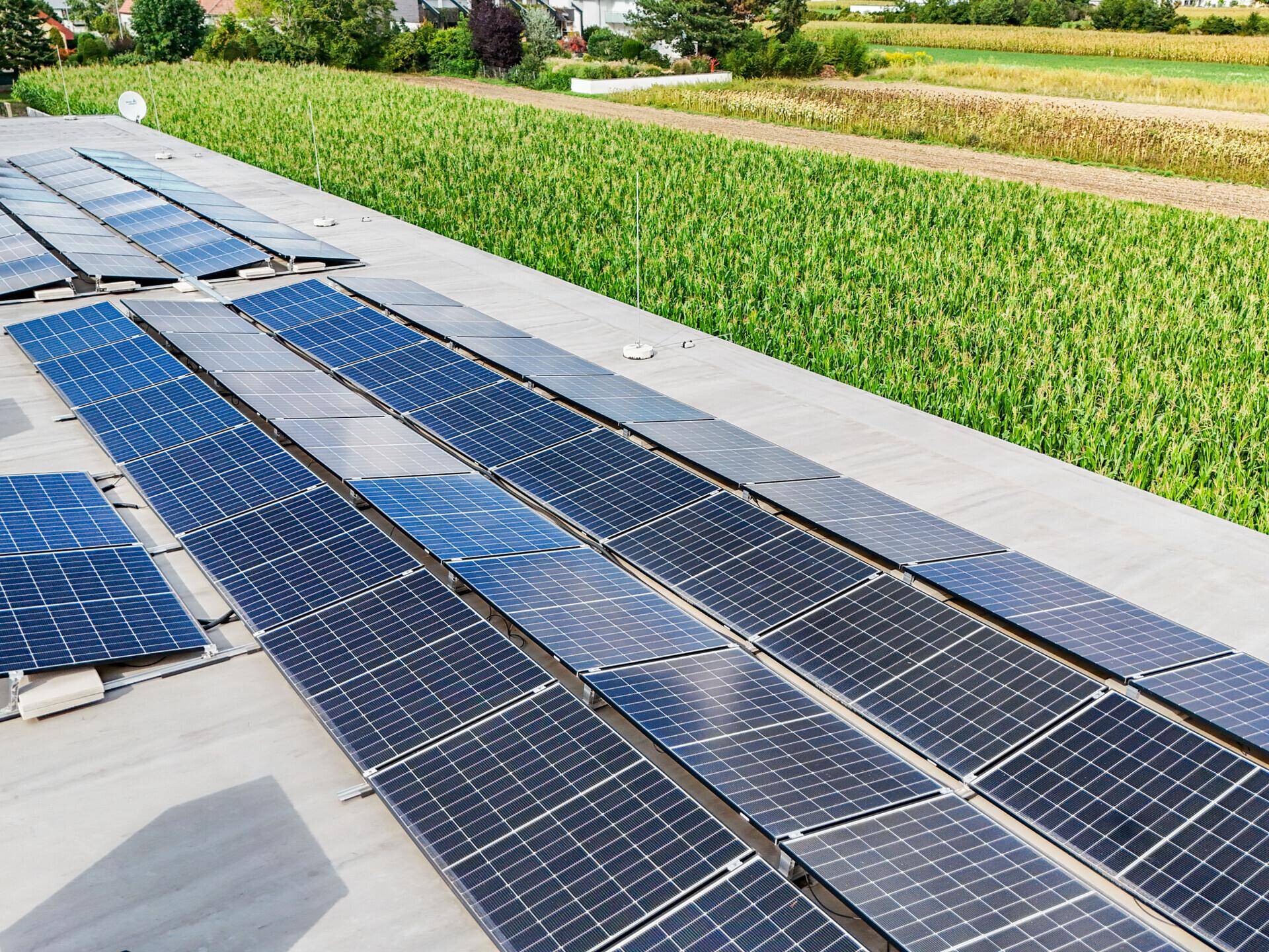 Dachfläche eines Gebäudes mit zahlreichen Photovoltaikmodulen und angrenzendem Feld.