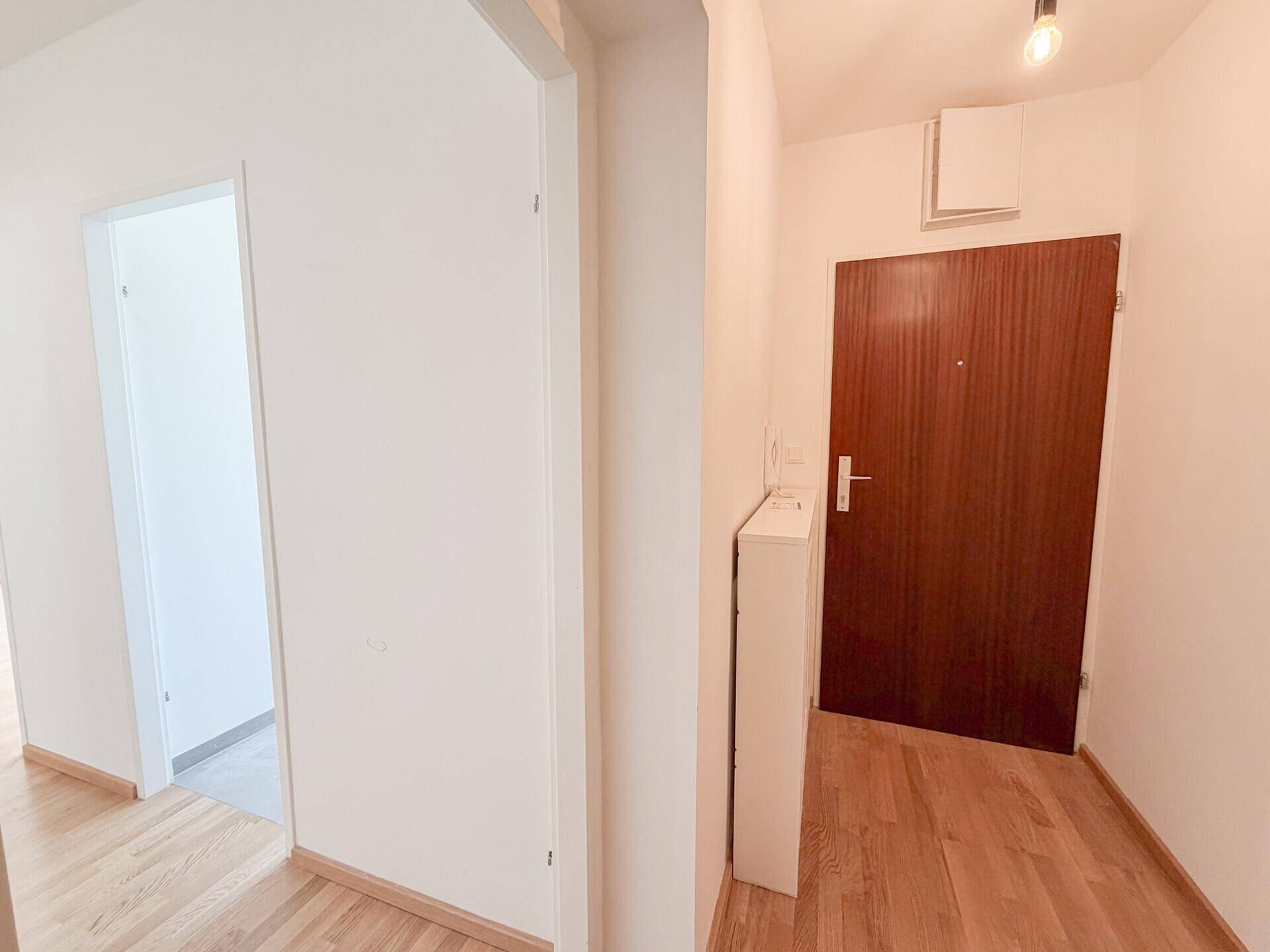 Eingangsbereich mit hellem Parkettboden und einer dunklen Holztür, die in die Wohnung führt.