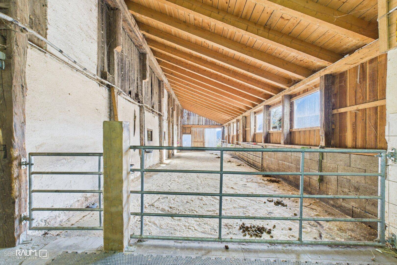 Geräumiger Innenbereich eines Stalls mit Holzbalken und Sandboden.