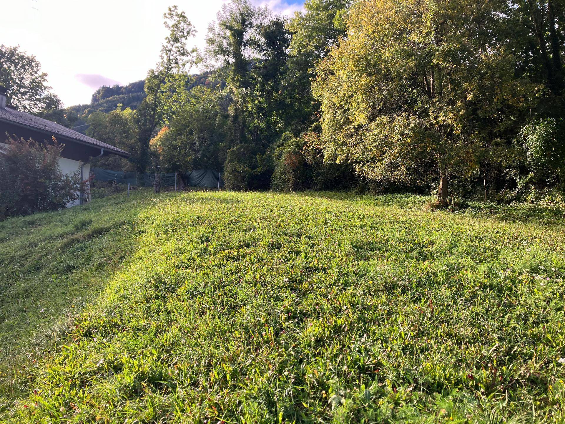 Grünes, leicht abfallendes Grundstück mit Bäumen im Hintergrund und Sonnenschein auf der Wiese.