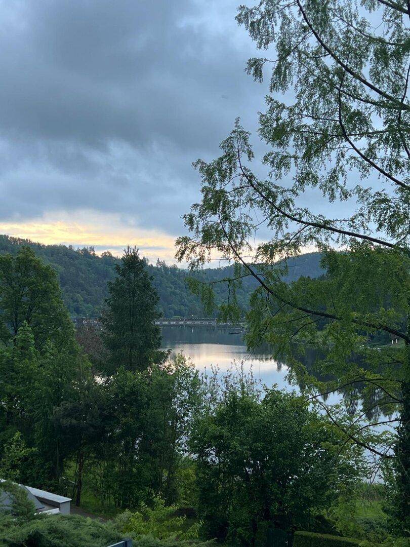 Abendlicher Blick auf den See und die bewaldeten Hügel durch Baumwipfel, eine friedliche Szene.