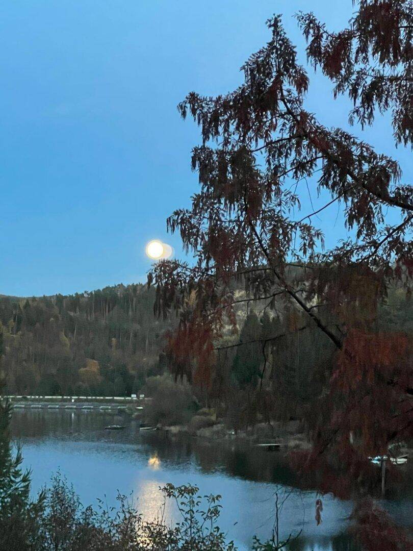 Vollmond über dem See, umrahmt von Bäumen in der Dämmerung, eine magische Abendstimmung.