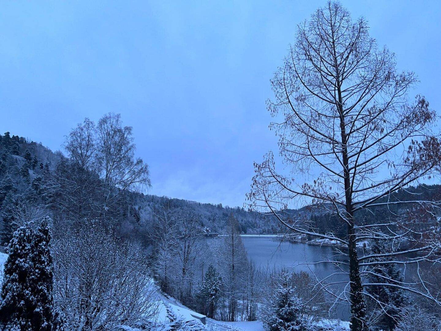 Winterliche Landschaft mit verschneiten Bäumen und einem ruhigen See unter blauem Himmel.