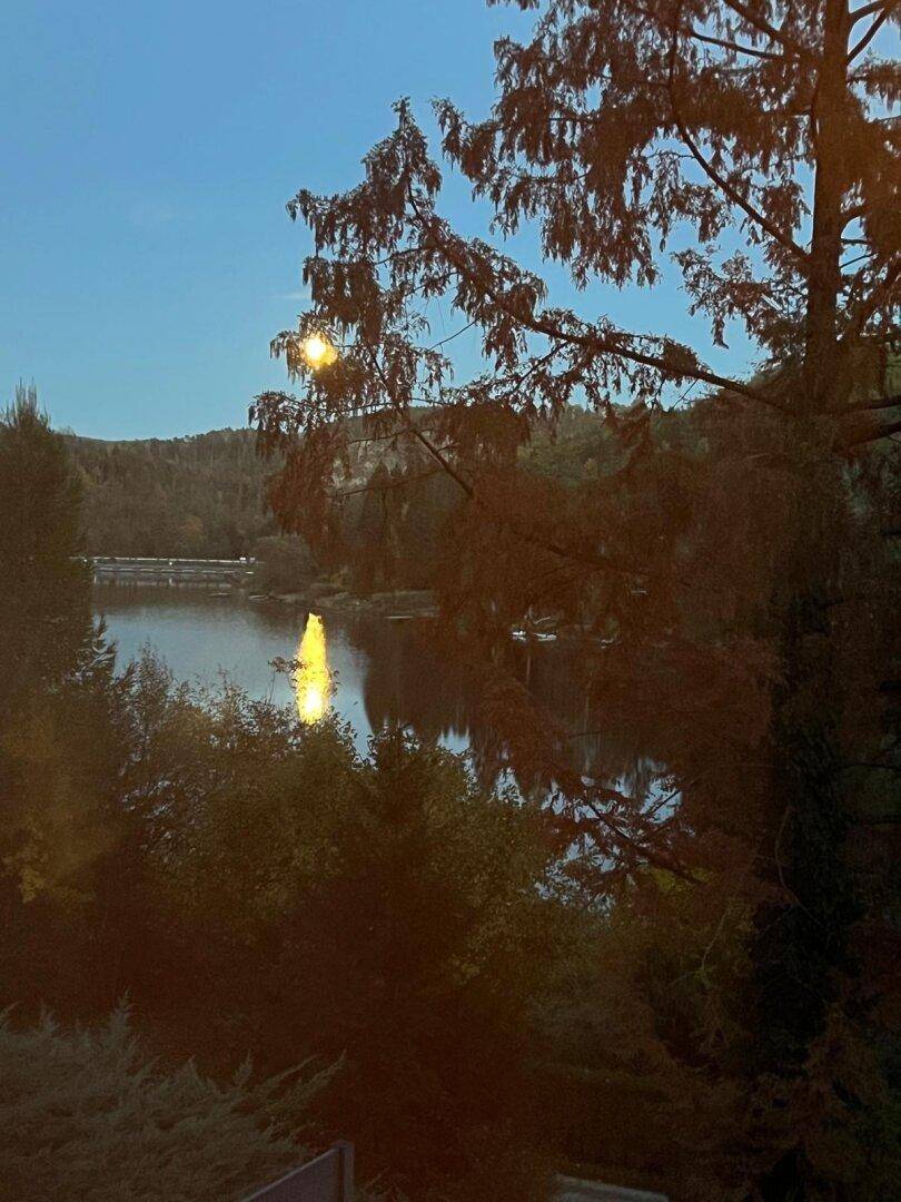 Mondlicht spiegelt sich im See, umgeben von dunklen Bäumen in der Nacht, eine geheimnisvolle Szene.
