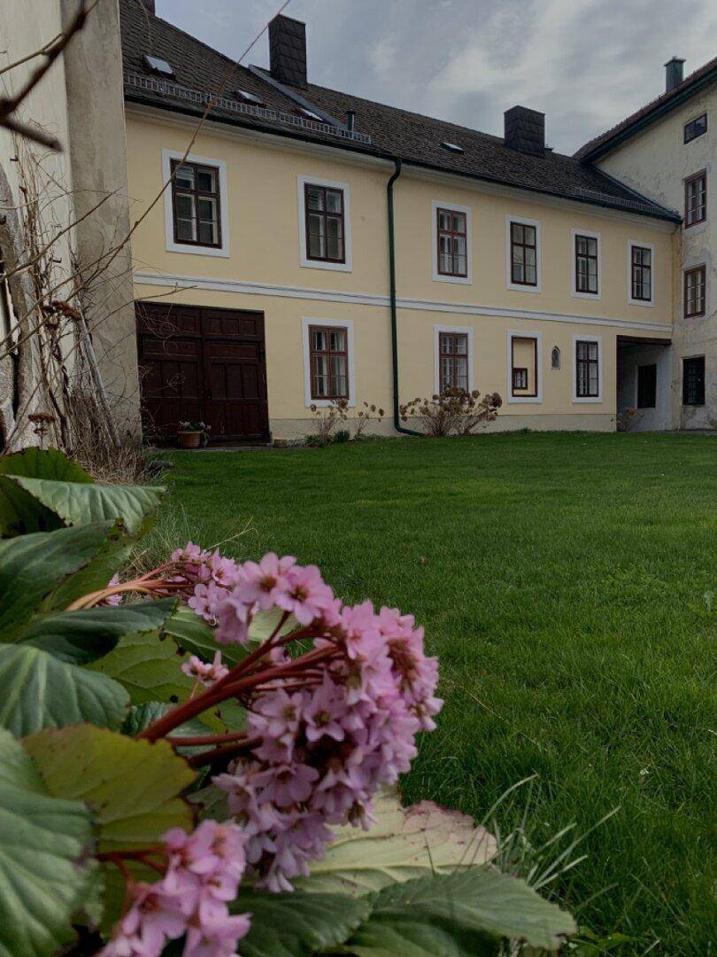 Grüner Rasenbereich mit blühenden Pflanzen vor einem historischen Gebäude.