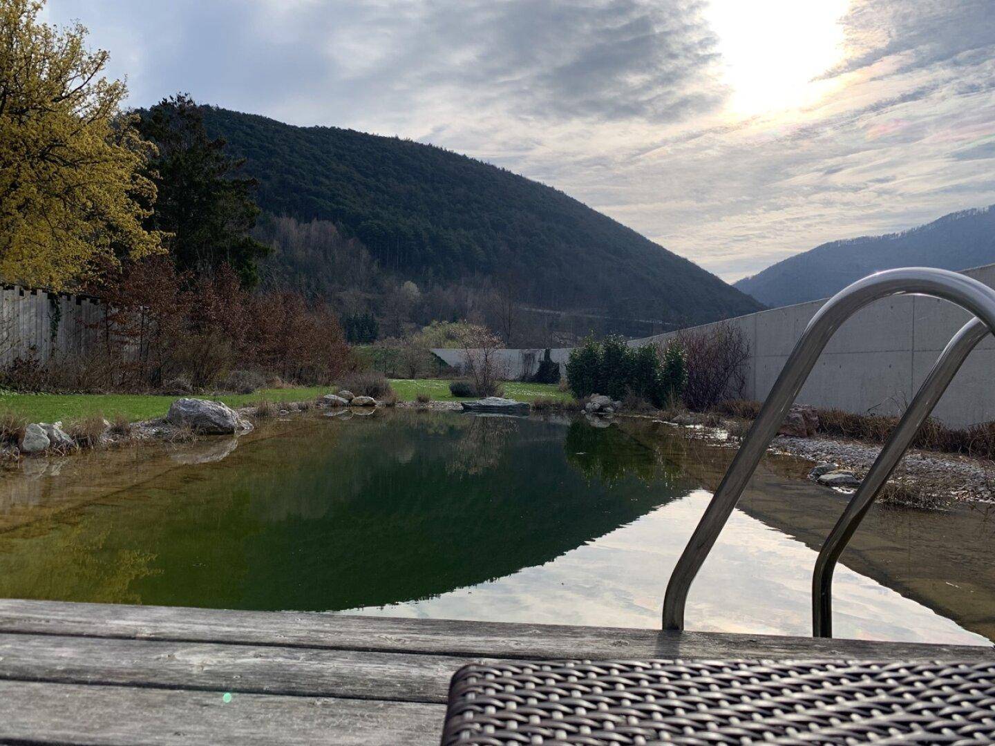 Natürlicher Schwimmteich mit Einstiegsleiter und Blick auf die umliegenden Berge.