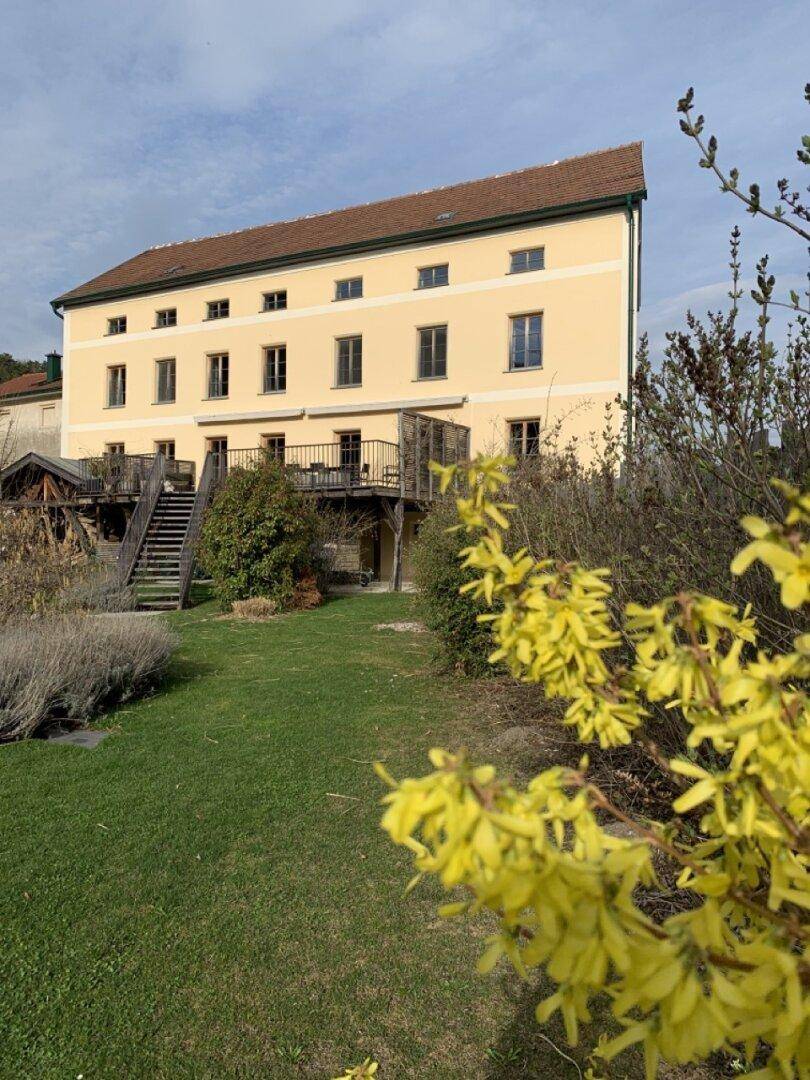 Historisches Gebäude mit gelber Fassade und blühenden gelben Sträuchern im Garten.