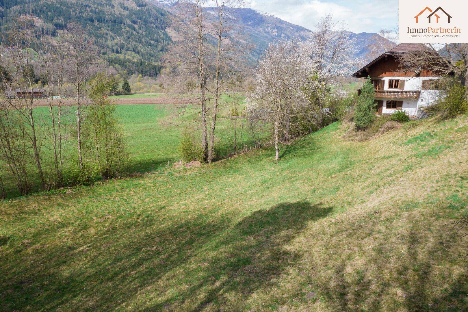 Weitläufige grüne Wiesen mit Bäumen und einem Haus im Hintergrund vor einer beeindruckenden Bergkulisse.