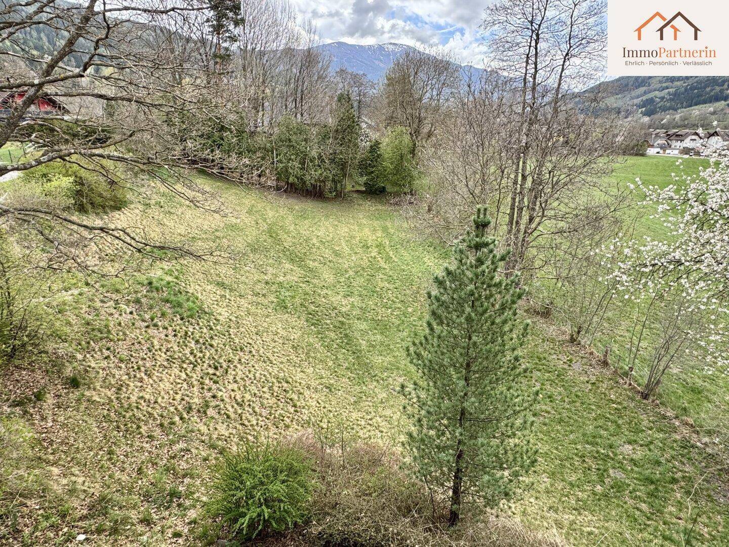 Offene Wiesenfläche mit jungen Bäumen und einem weiten Blick auf die umliegende Berglandschaft.