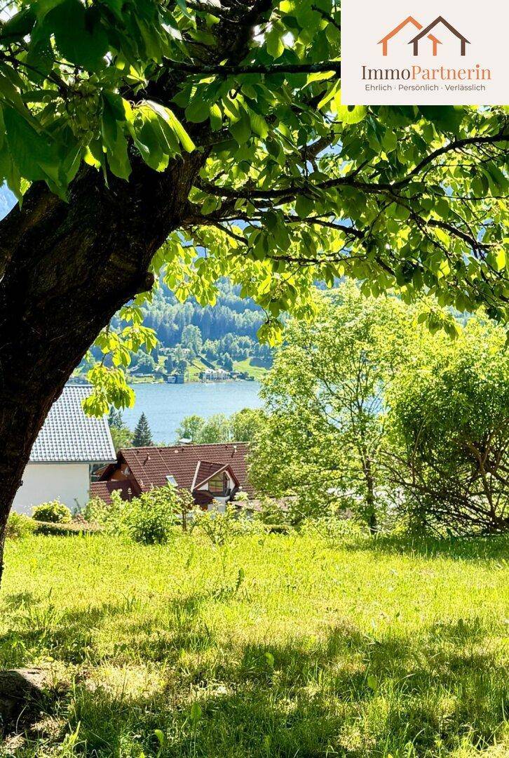Idyllischer Gartenbereich mit altem Baum und Blick auf den See und die umliegende Landschaft.