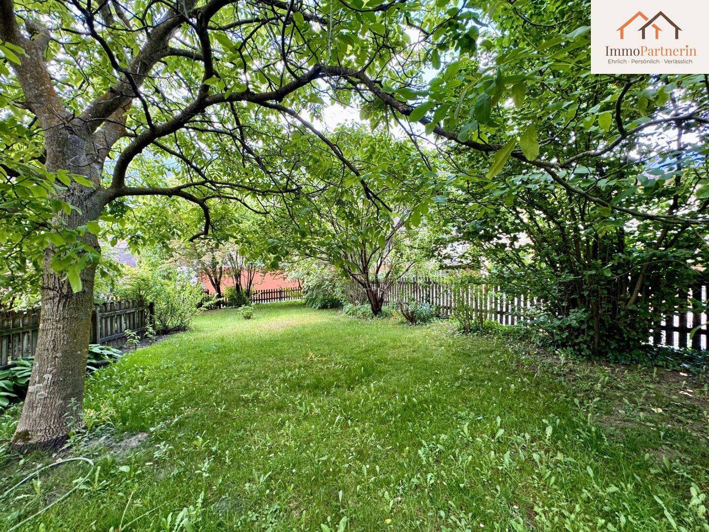 Naturbelassener Gartenbereich mit altem Baumbestand und viel Grünfläche.