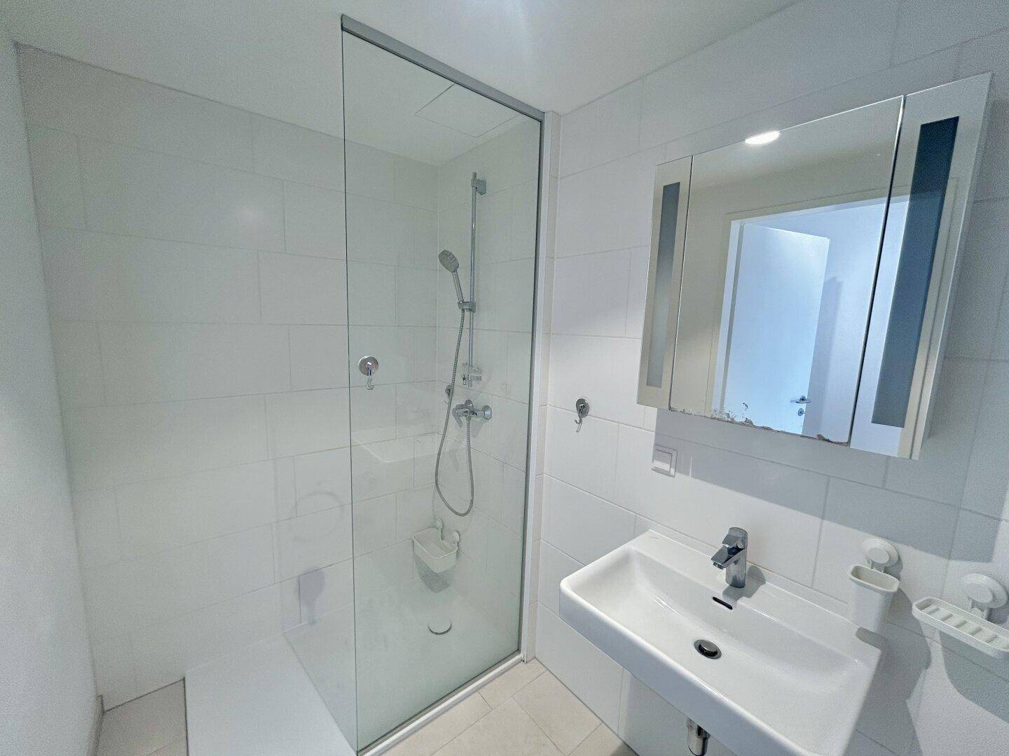 Modernes Badezimmer mit begehbarer Dusche, Einzelwaschbecken und Spiegelschrank.