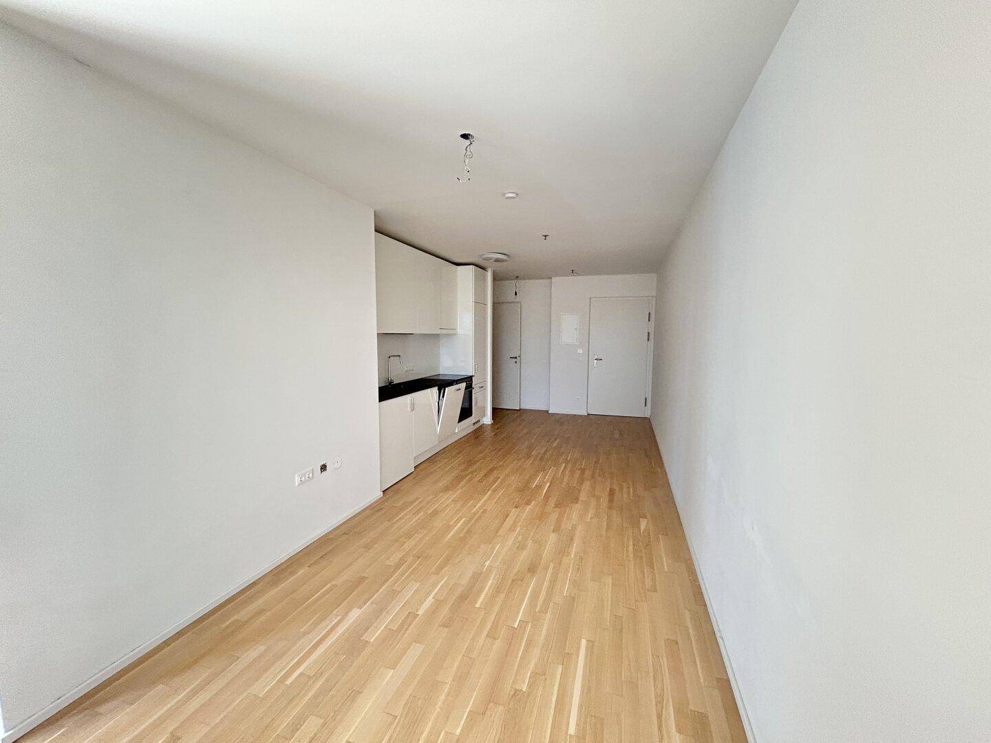 Offener Wohnbereich mit integrierter Küchenzeile, Holzboden und Zugang zu weiteren Räumen.