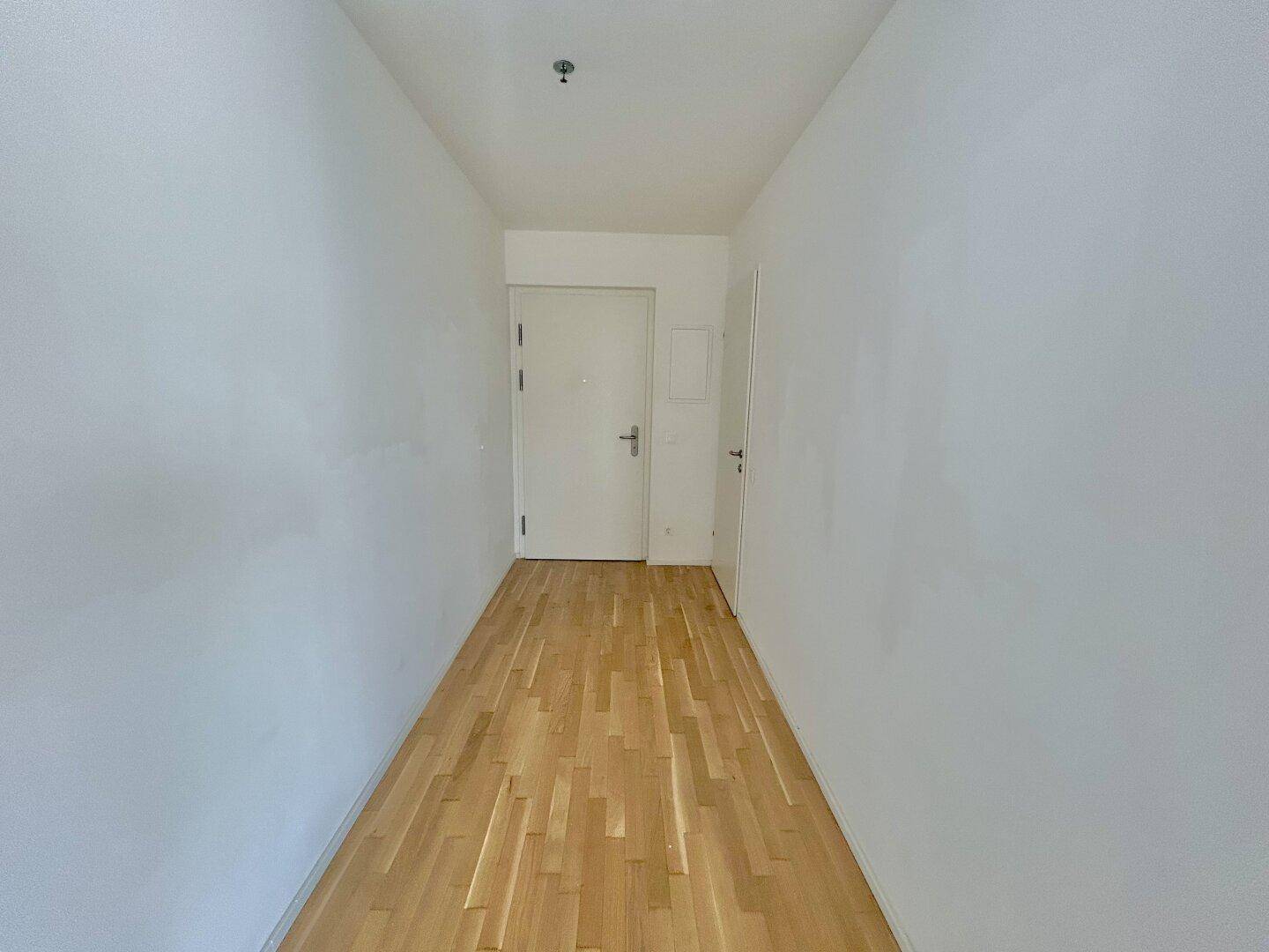 Eingangsbereich mit Holztür und Parkettboden, der zu den Wohnräumen der Wohnung führt.