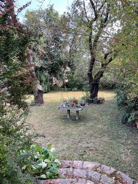 Naturbelassener Garten mit altem Baumbestand und einem Holztisch mit Topfpflanzen.