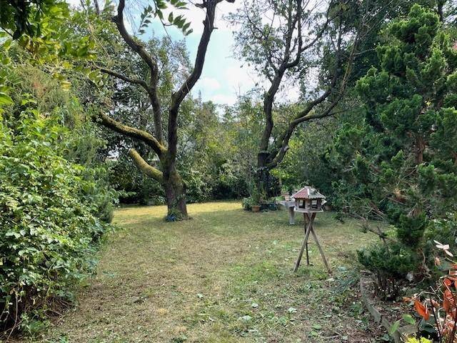 Großer, gepflegter Garten mit altem Baumbestand und einem dekorativen Vogelhäuschen.