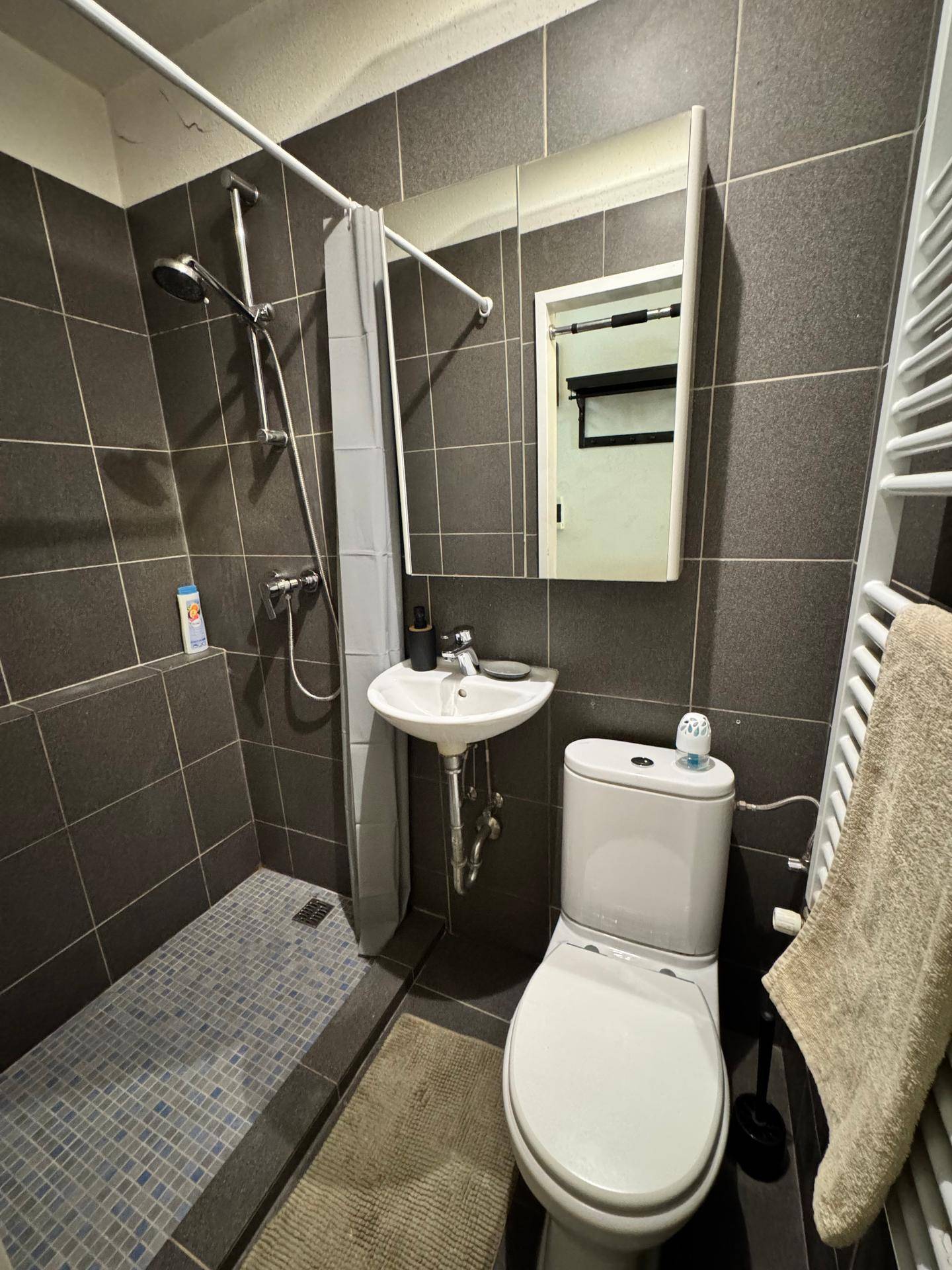 Modernes Badezimmer mit Dusche, WC, Waschbecken und beheiztem Handtuchhalter.