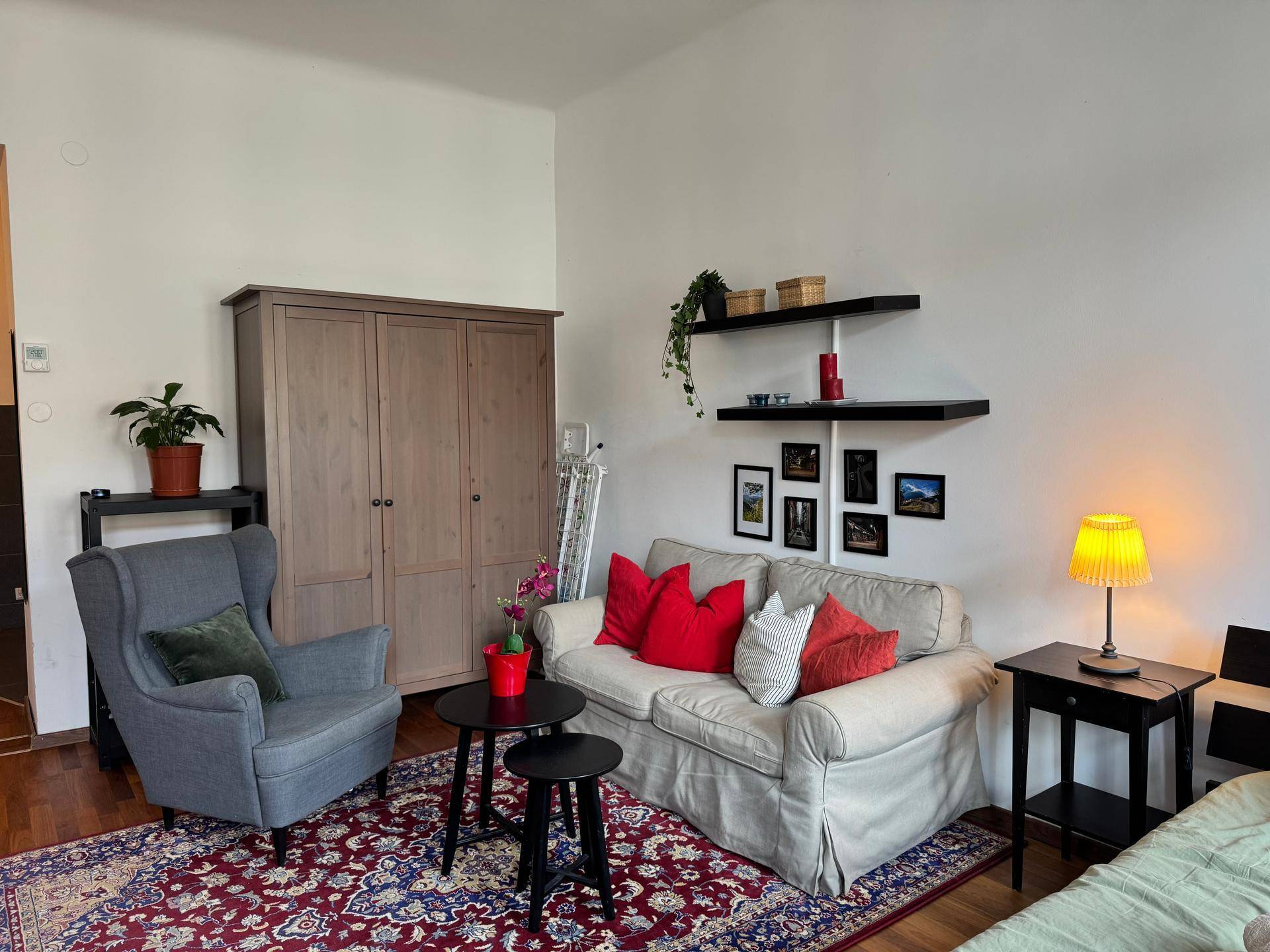 Gemütlicher Wohnbereich mit Sofa, Sessel, Teppich und einem großen Kleiderschrank.