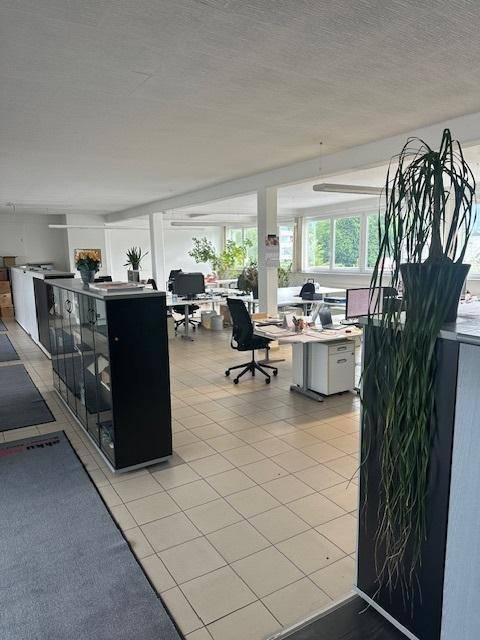 Weitläufiger offener Bürobereich mit mehreren Arbeitsplätzen, großen Fenstern und Pflanzen.
