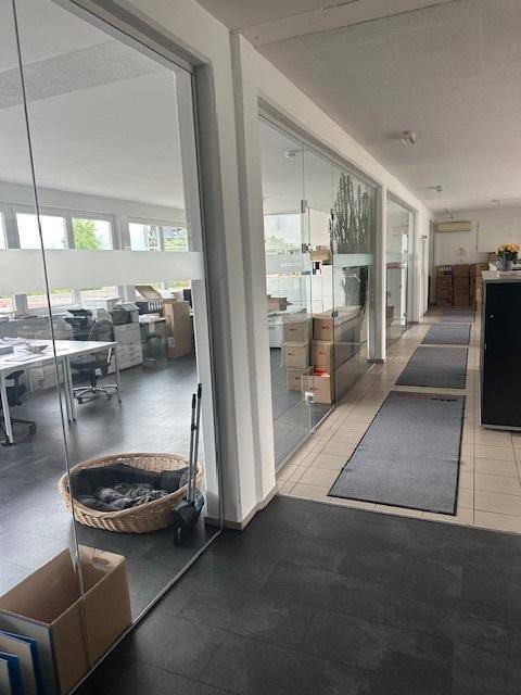 Blick in ein offenes Büro durch Glaswände, mit Schreibtischen und einem Hundebett im Vordergrund.