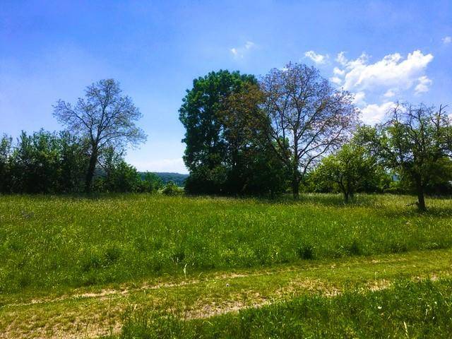 Idyllische Naturlandschaft mit grünen Wiesen, alten Bäumen und klarem blauen Himmel.