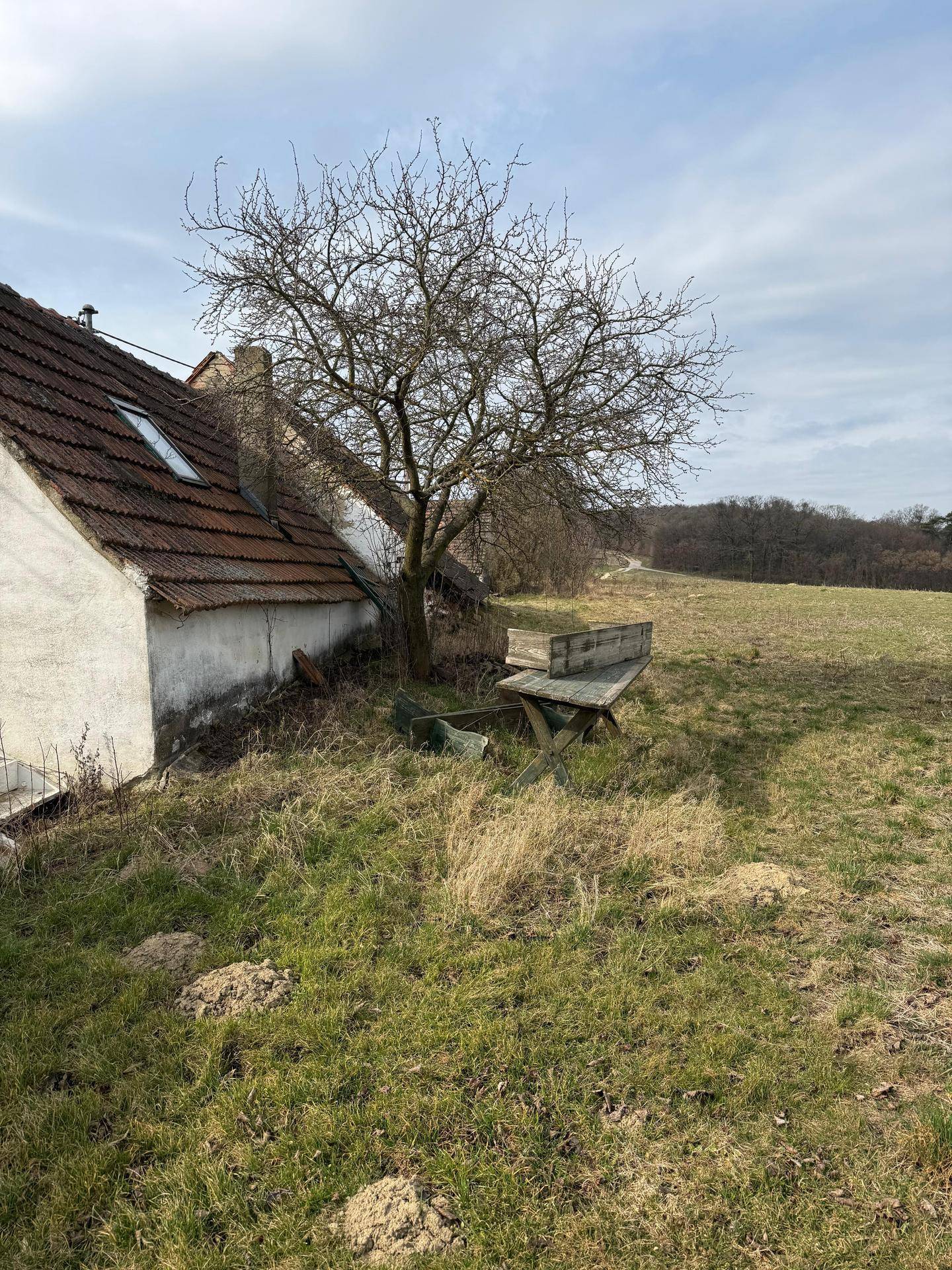 Altes Gebäude am Rande eines Feldes mit einem kahlen Baum und weitem Blick in die Natur.