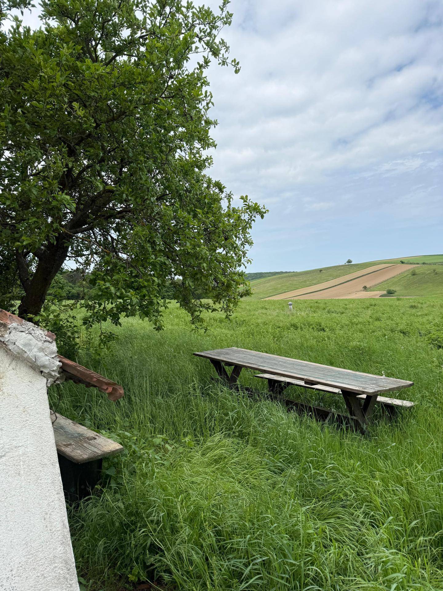 Grüne Wiese mit einem Picknicktisch unter einem Baum und weitem Blick in die Landschaft.