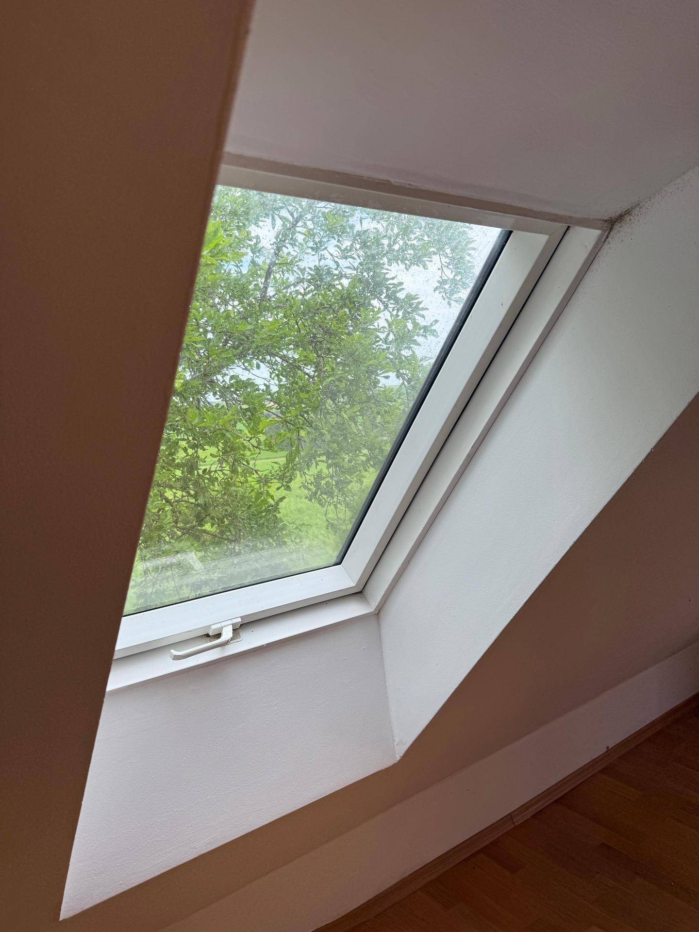 Dachfenster im Dachboden bietet einen grünen Ausblick auf Bäume und Natur.