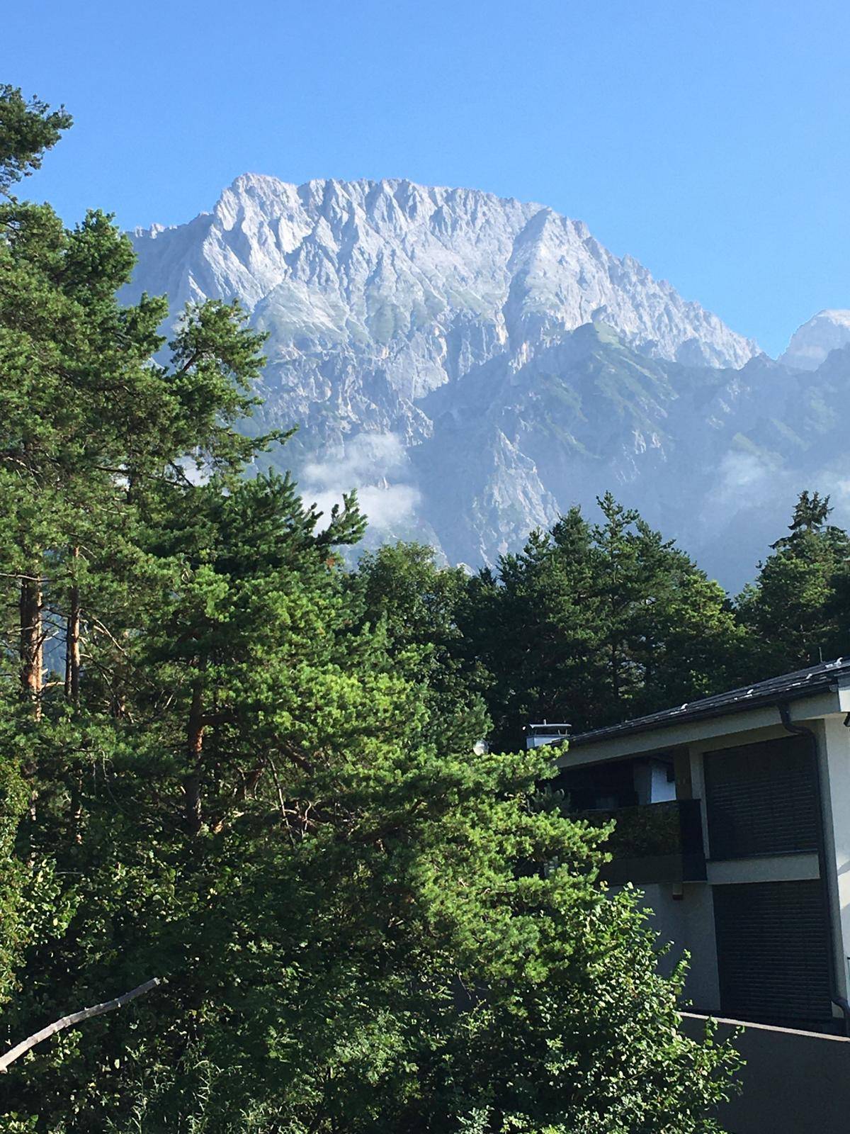 Majestätischer Bergblick mit grünen Bäumen unter klarem blauem Himmel.