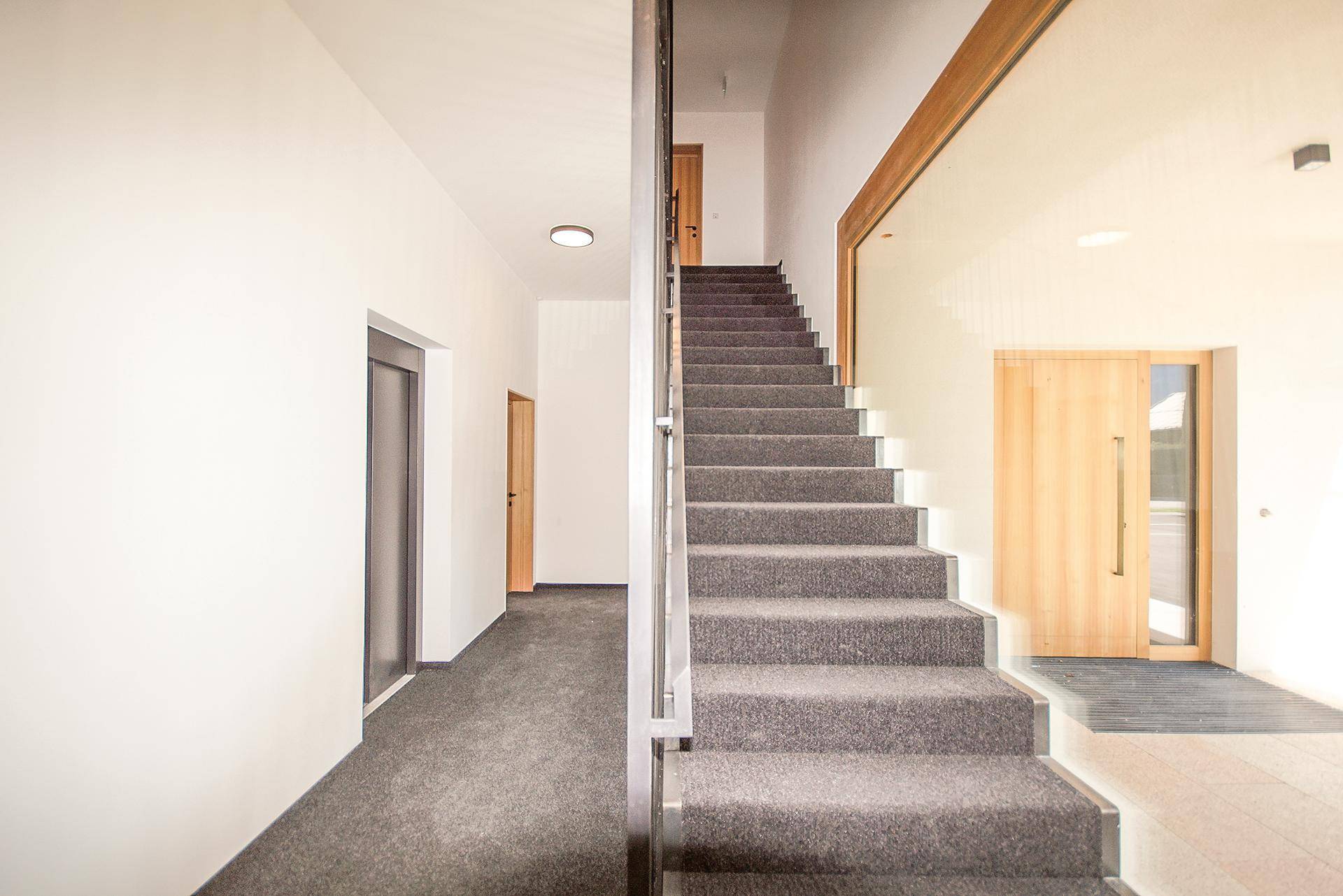 Moderner Eingangsbereich mit Teppichtreppe, hellem Design und Zugang zu weiteren Räumen.