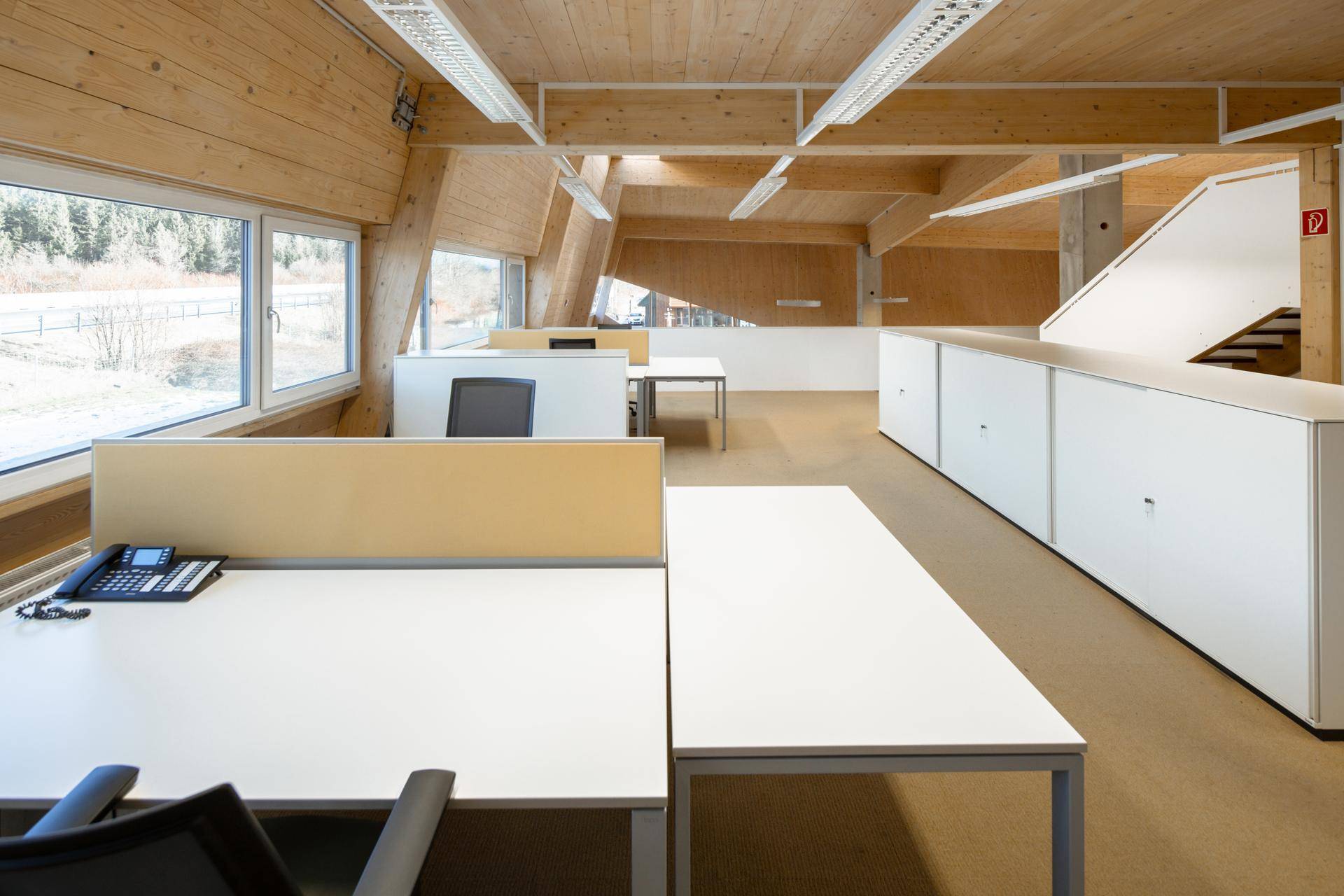 Offenes Büro mit Holzwänden und -decken, modernen Arbeitsplätzen und Blick auf die grüne Umgebung.