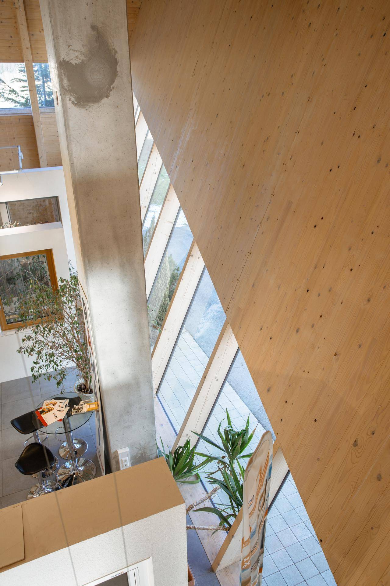 Detailansicht der modernen Holz- und Betonarchitektur mit schrägen Fenstern und Pflanzen im Innenraum.