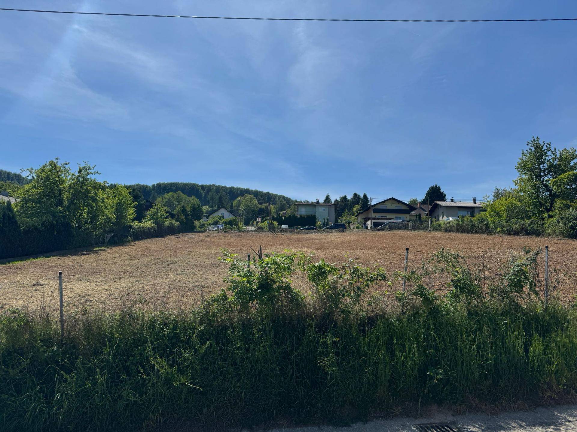 Blick über ein Feld auf eine ländliche Umgebung mit vereinzelten Häusern und viel Grün.