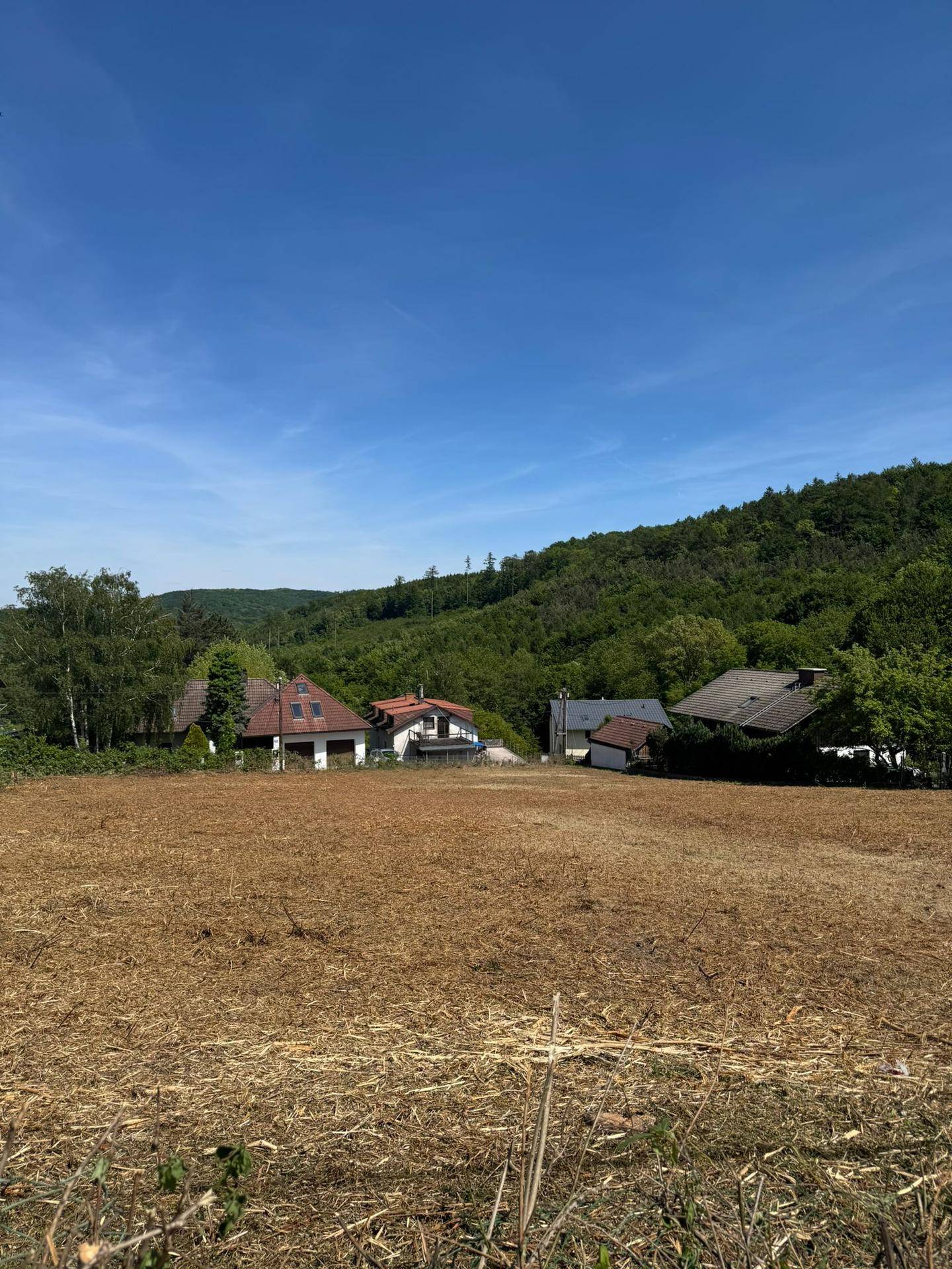 Weitläufige Landschaft mit Feldern und bewaldeten Hügeln, im Hintergrund sind Häuser sichtbar.