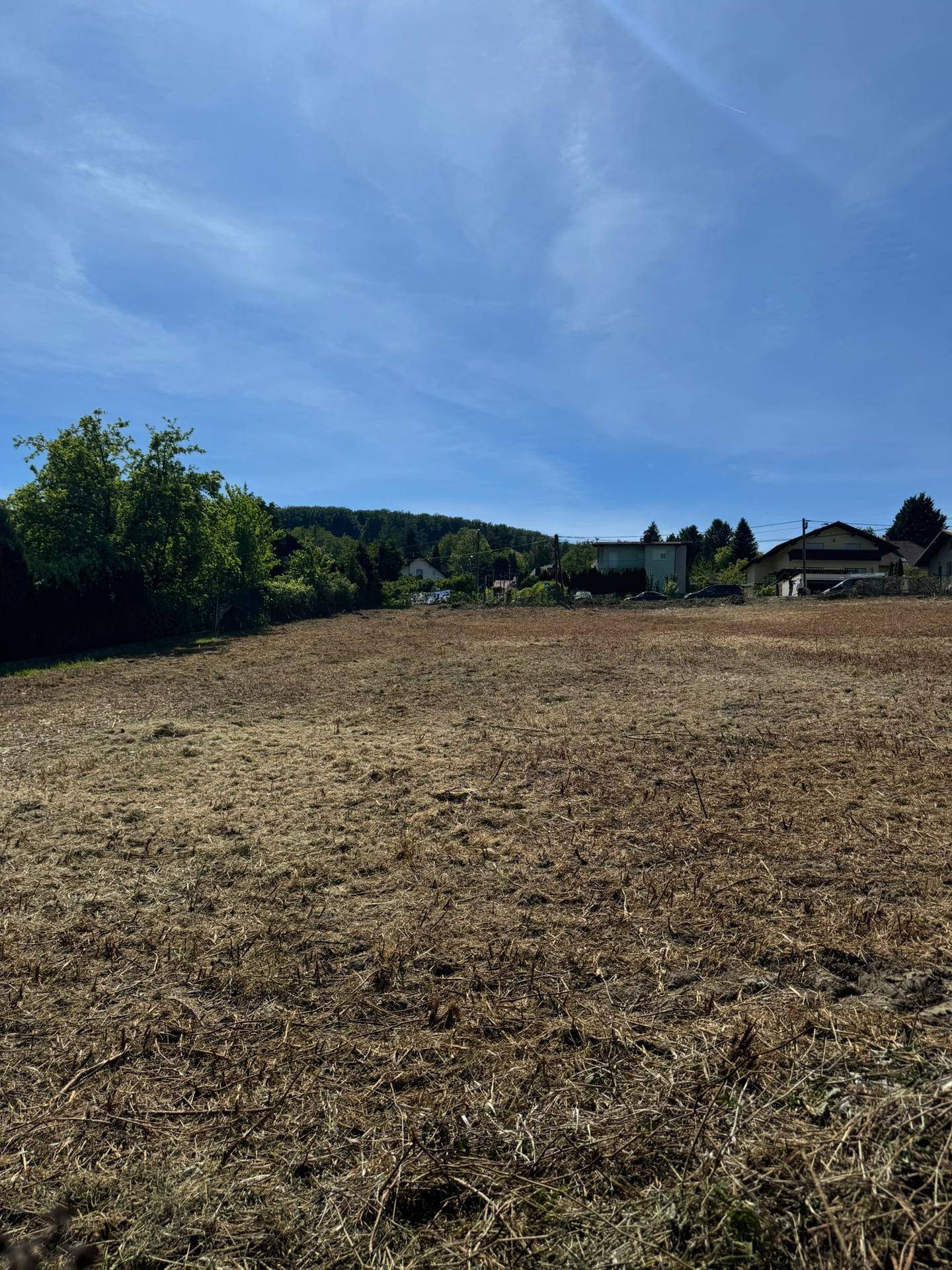 Offenes Feld mit Blick auf die ländliche Umgebung und bewaldete Landschaft.
