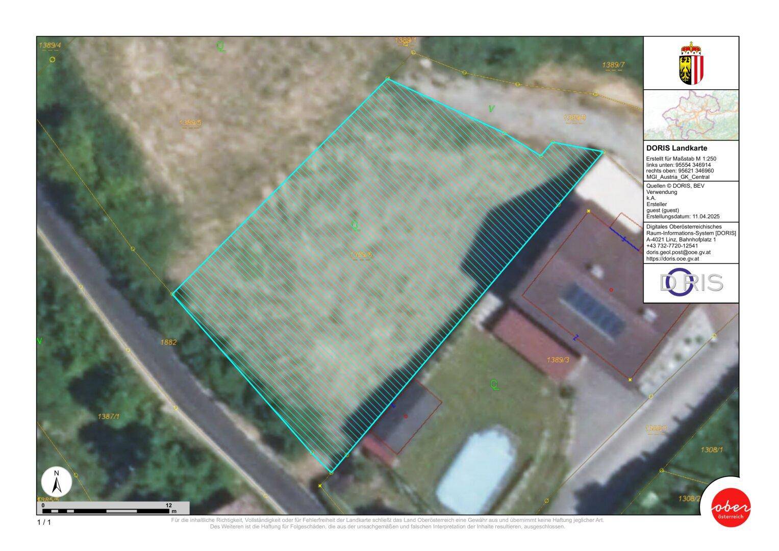 Slide 6